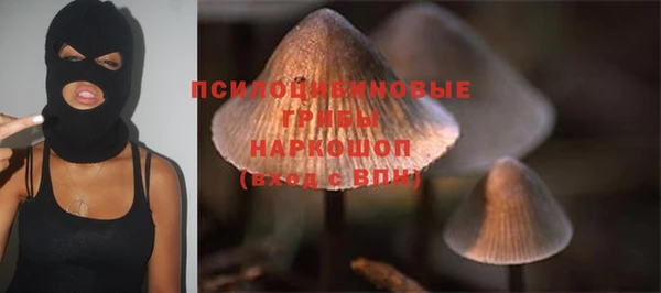 гашик Магадан