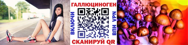 Псилоцибиновые грибы мухоморы  KRAKEN сайт  Голицыно 